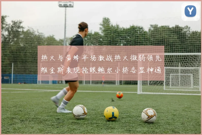 热火与黄蜂半场激战热火微弱领先维金斯表现抢眼鲍尔小桥各显神通